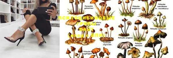 тгк Богородск