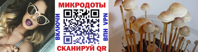 Псилоцибиновые грибы MAGIC MUSHROOMS  Чухлома 